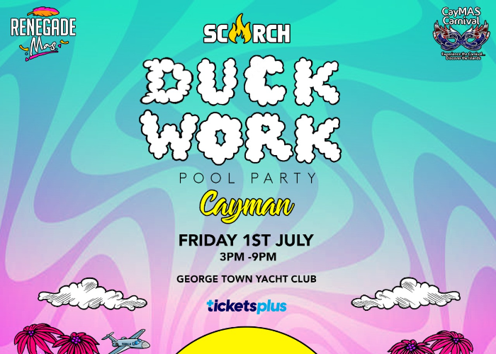 Duck Work Pool Party