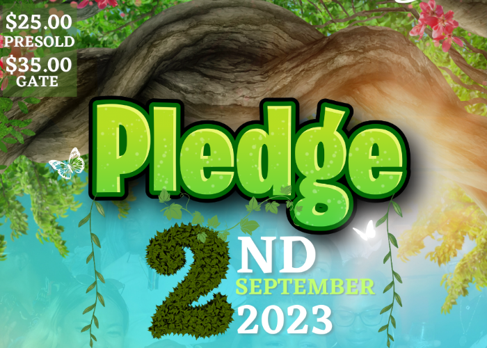 Signature Saturdays “Pledge”