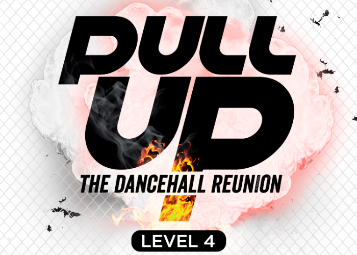 Pull Up - The Dancehall Reunion 'Level 4'